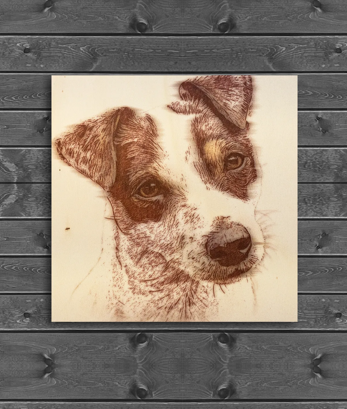 Wood burn style pet portrait of a Jack Russell Terrier, printed in reddish-brown lines on a pale, square wooden board against grey wood panelling.