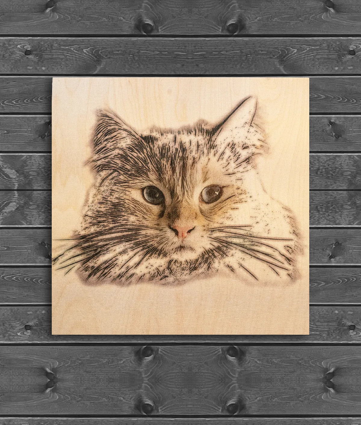 Wood burn style pet portrait of a tabby cat with blue eyes and long whiskers, printed in dark lines on a warm, light brown wooden board against grey wood panelling.